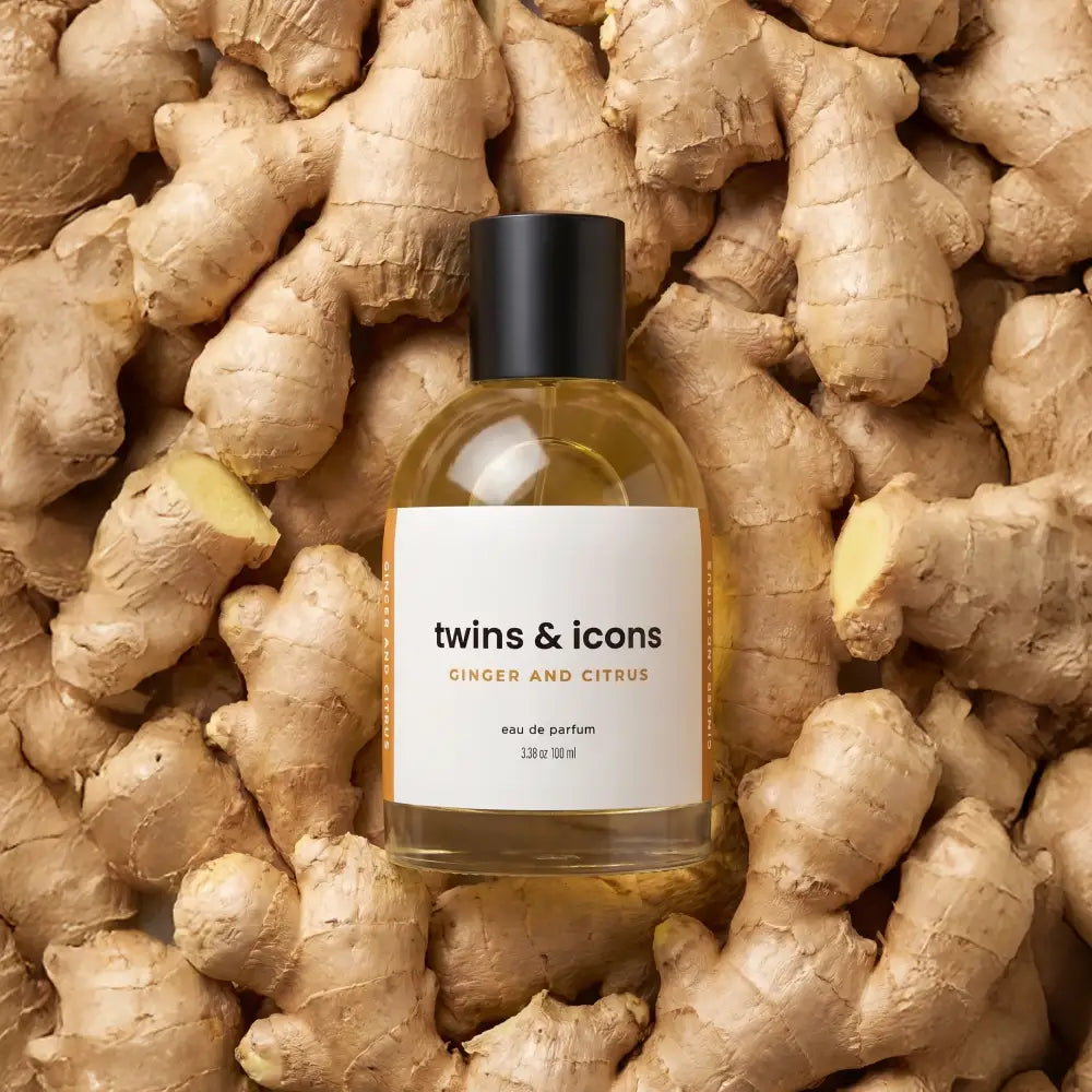 Ginger and Citrus - Fresco y Cítrico