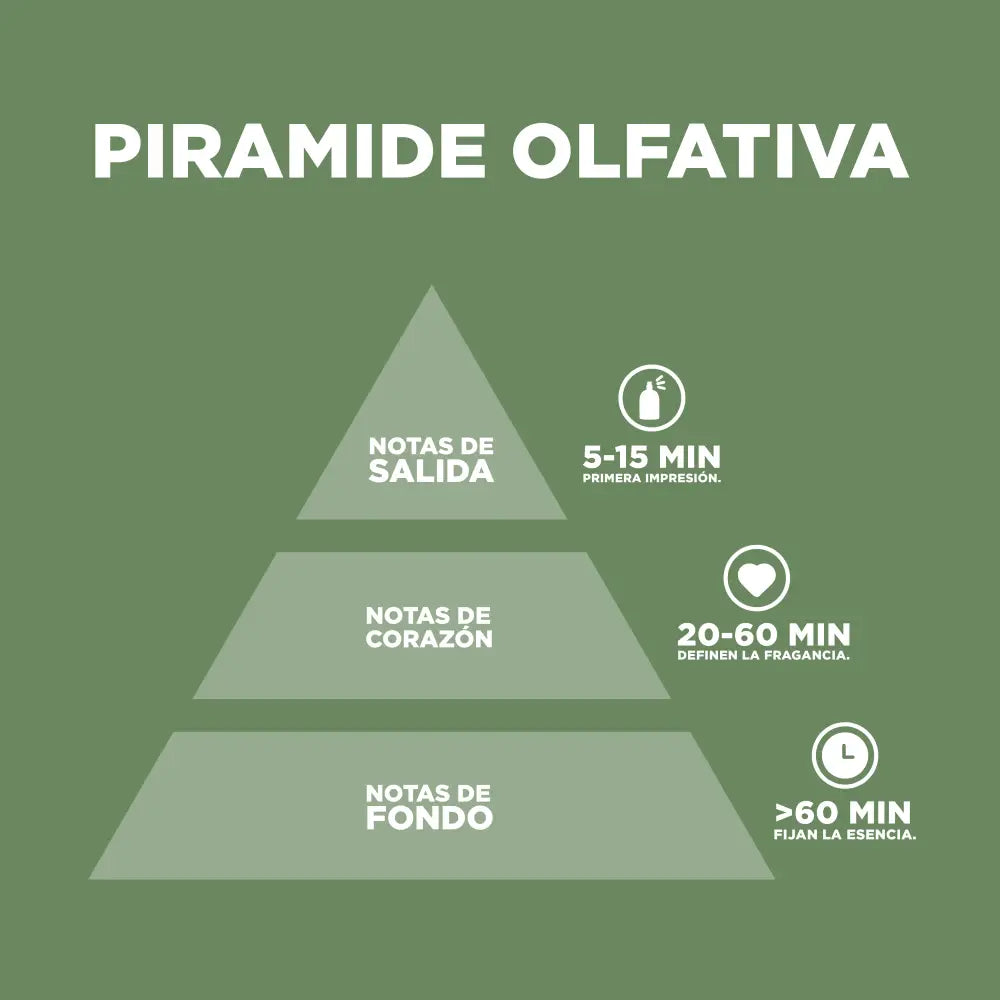 Minimalistic Musk Amaderado y Oriental